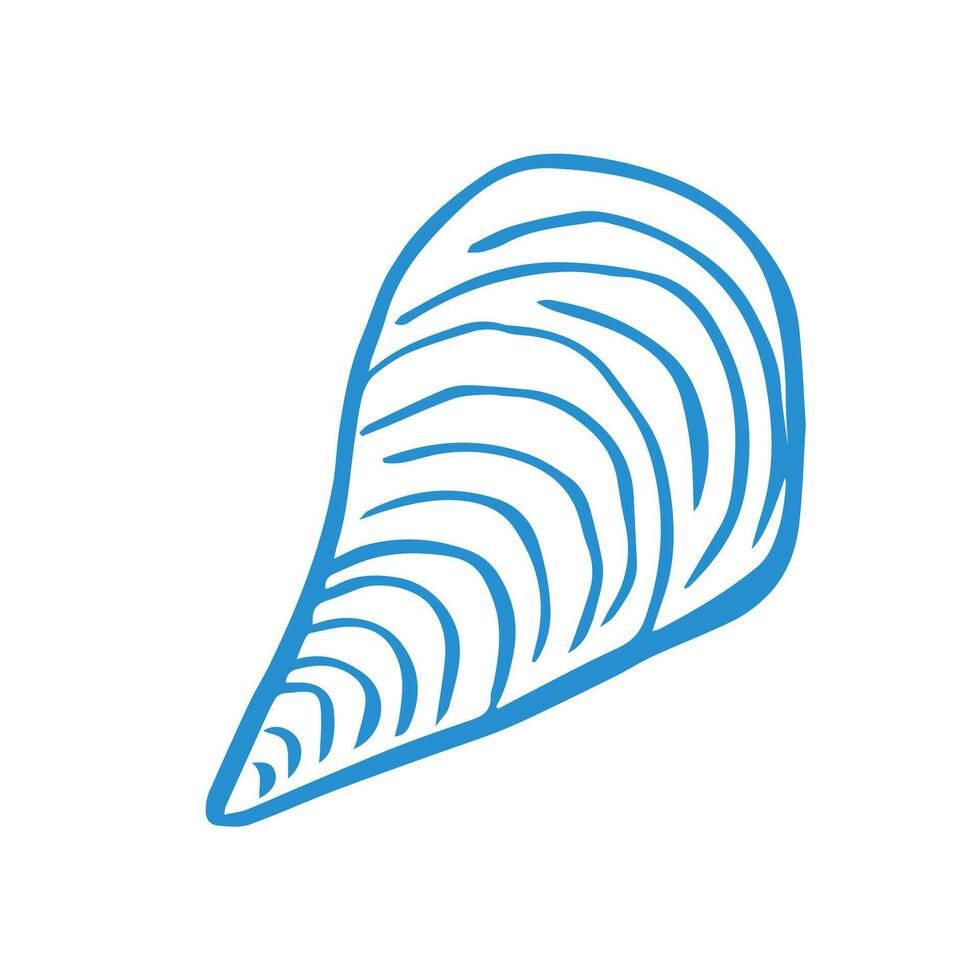 Marine whimsical hand drawn oyster on the white background vector