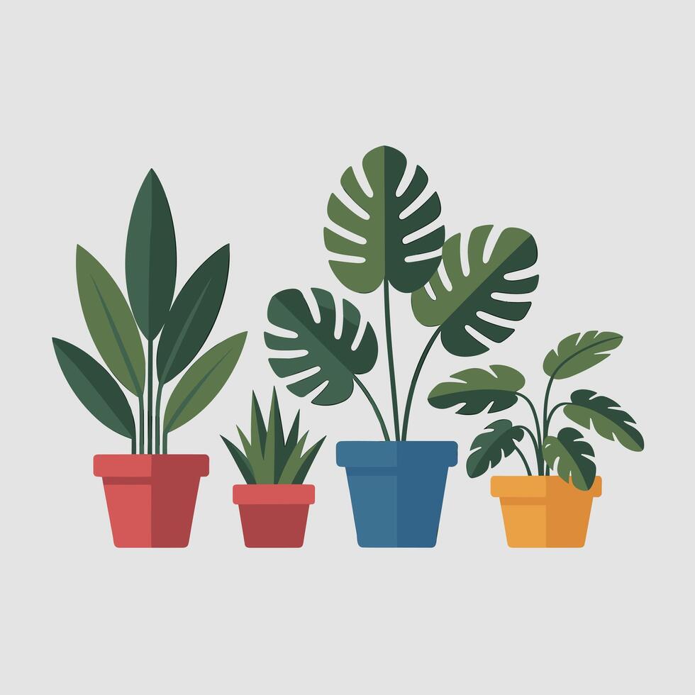 Assorted Indoor Greenery in Clean Ceramic Planters vector