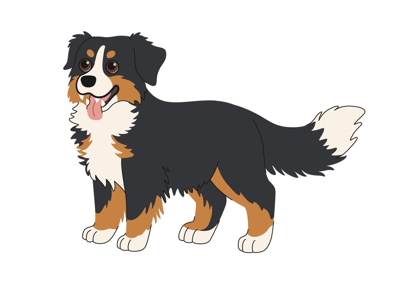 Bernese Mountain Dog standing. Cute cartoon large breed dog illustration. Beautiful black, white and red shepherd dog, companion breed. Clipart on white background. Cute Sennenhund. vector