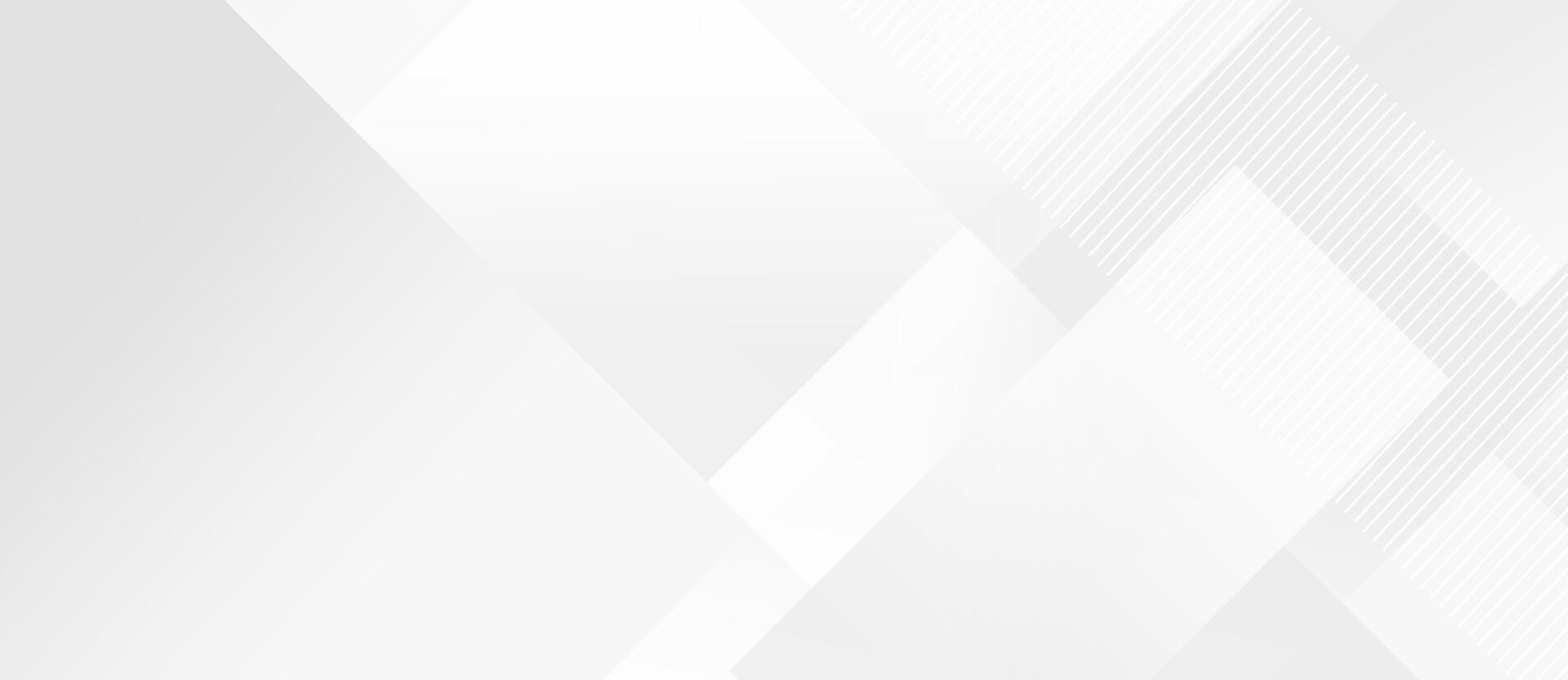 Modern white grey abstract background with elegant bright diagonal lines design vector