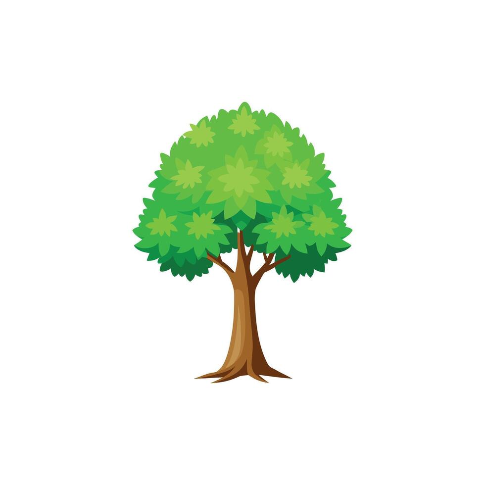 Vintage Maple Tree Botanical Illustration vector