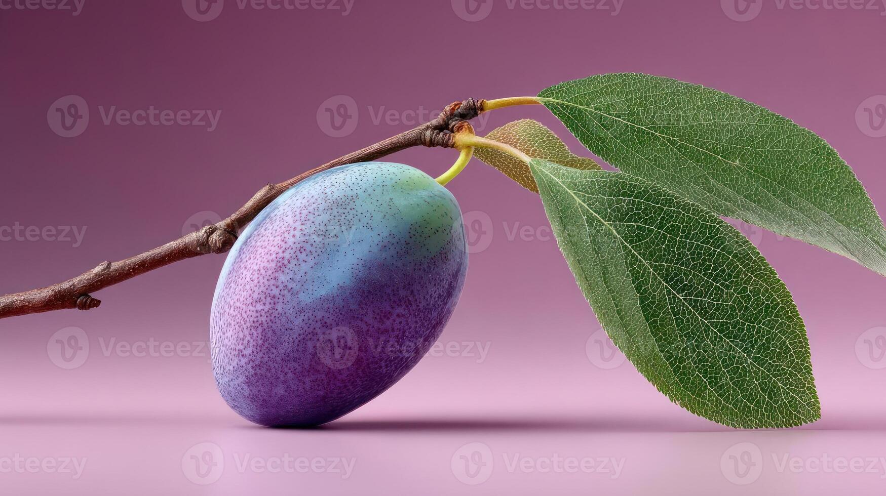 Close-up of a vibrant plum with a leaf on a branch. photo