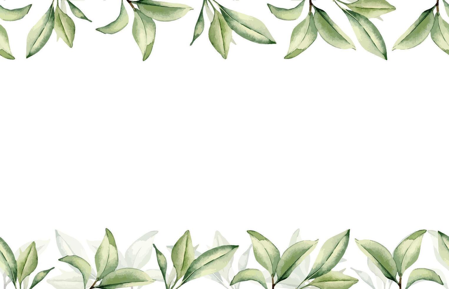 Branch of citrus tree with leaves in watercolor on seamless banner isolated. Grapefruit tree greenery sprigs hand drawn on repeating border. Foliage texture for wedding invitation, packaging, label. vector