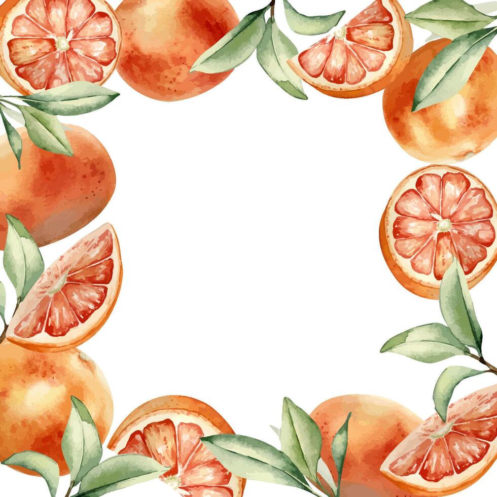 orange fruits with green leaves decoration vector