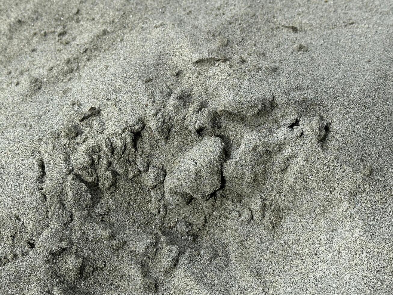 Gray sand texture granular fine photo