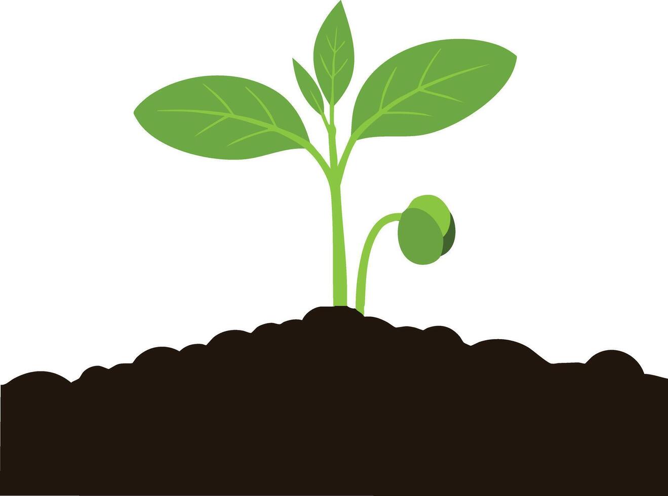 Young green seedling sprouting from rich soil in natural growth environment illustration vector