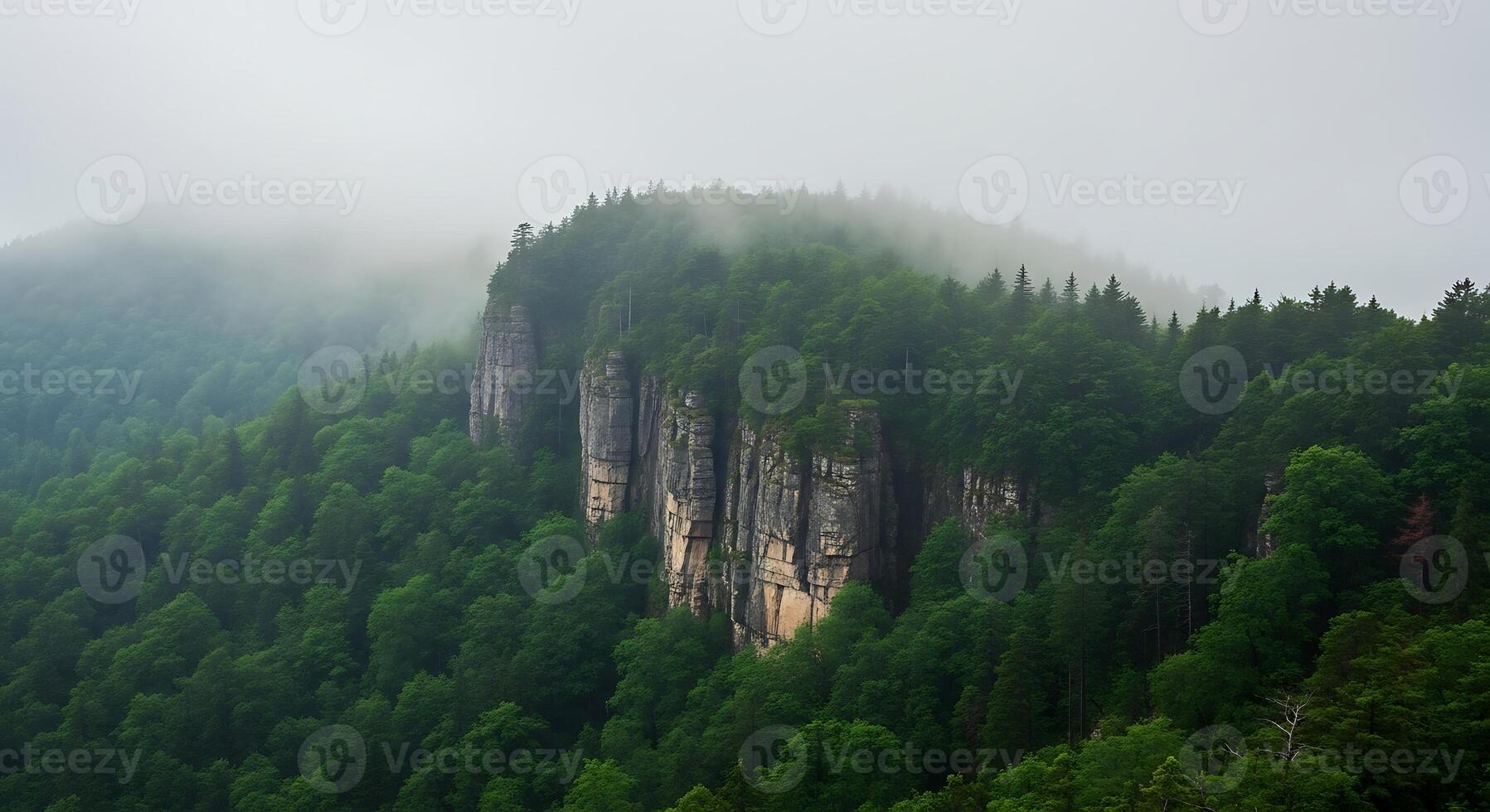 A mountain with trees and fog in the background photo