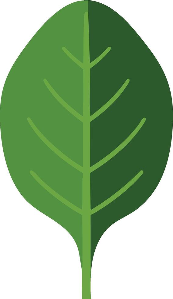 Green leaf illustration with simple design and natural shape for environmental and botanical projects vector