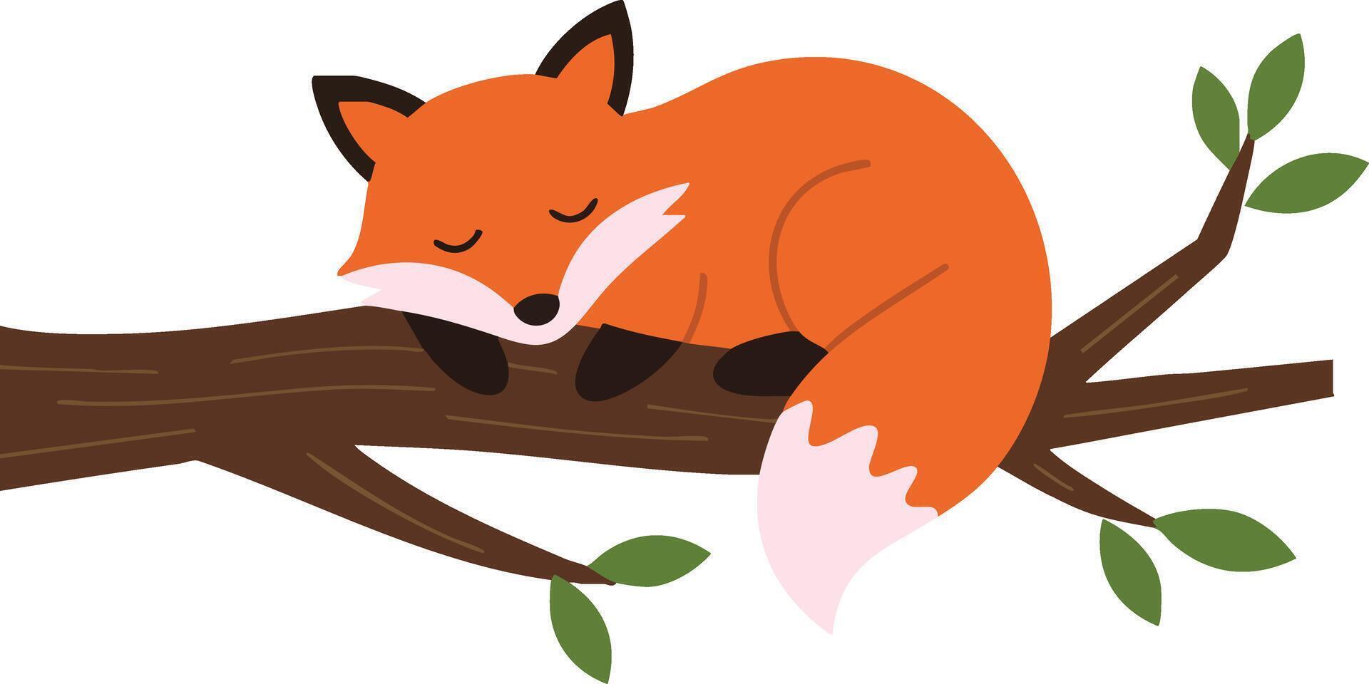 Sleeping fox resting peacefully on tree branch in simple natural illustration vector