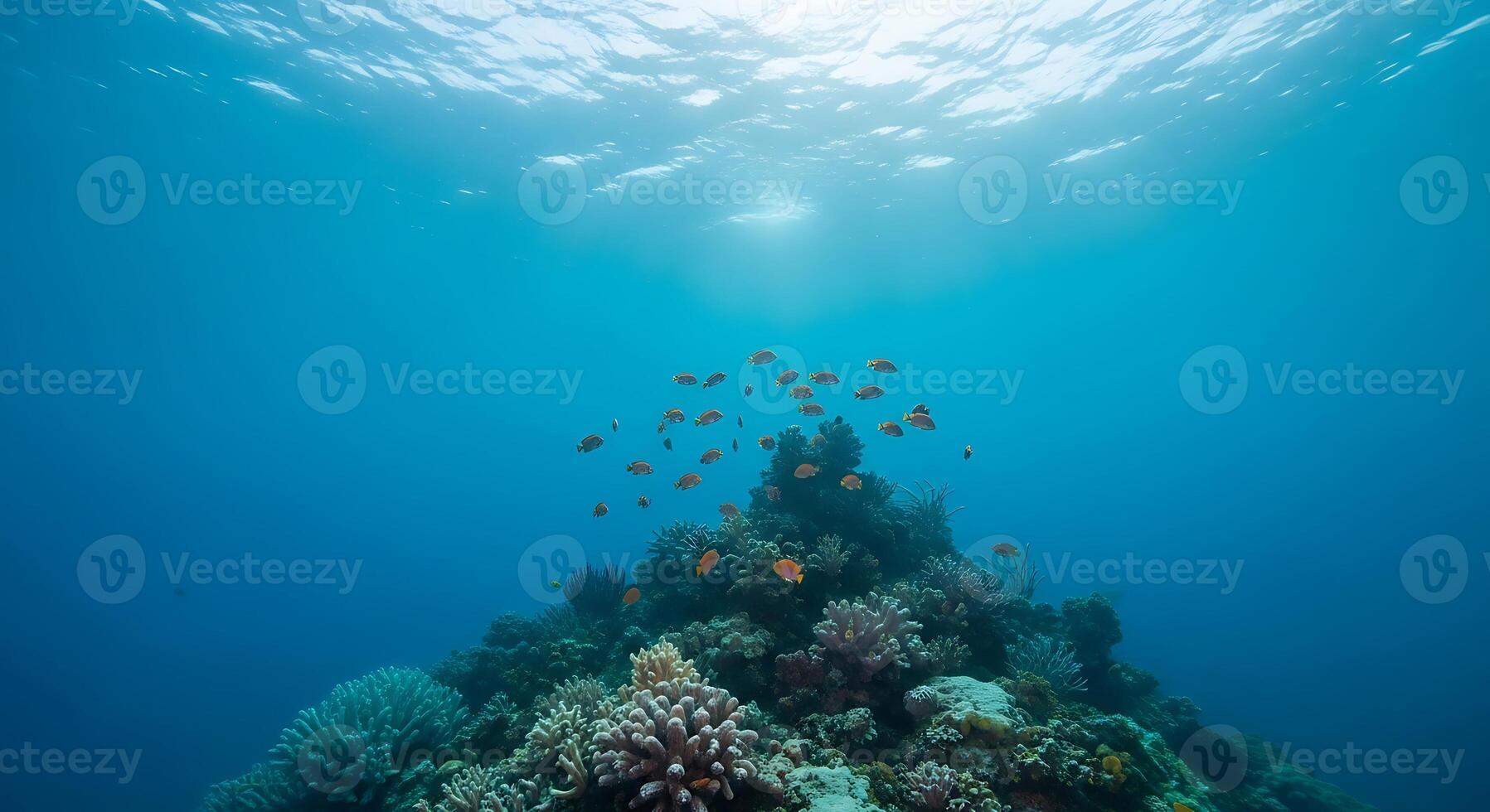 A coral reef with fish swimming in the water photo