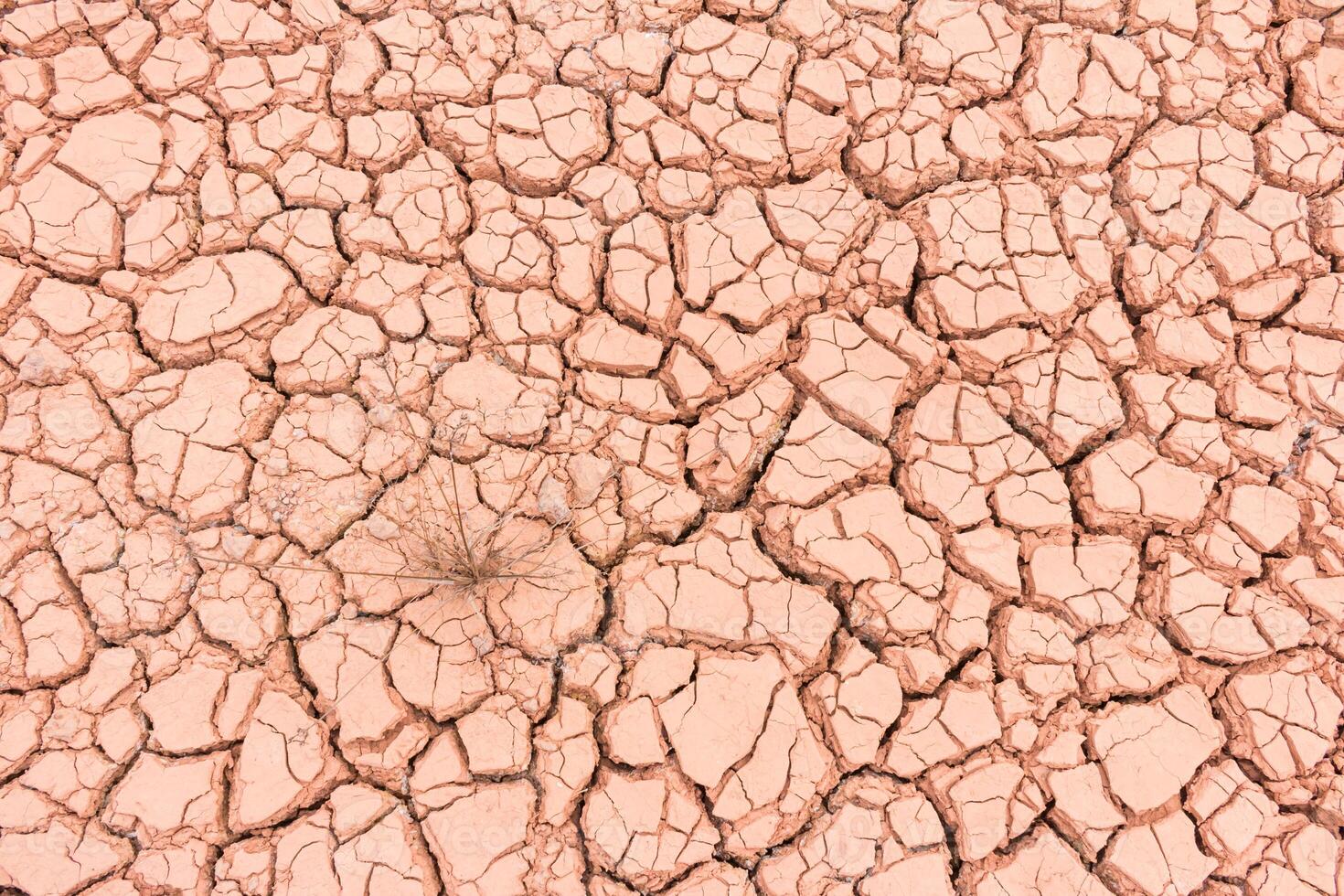 A close up of a cracked dry desert photo