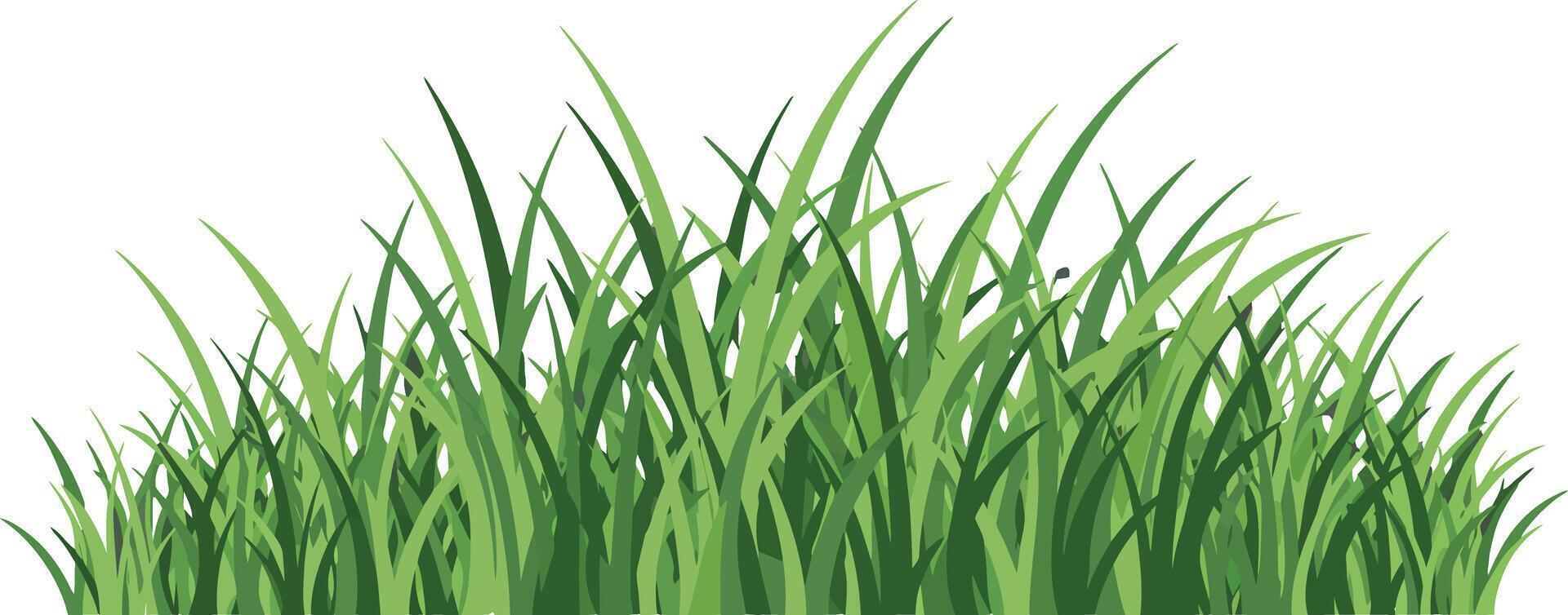 Green grass blades illustration with natural sharp edges and fresh look for design projects vector
