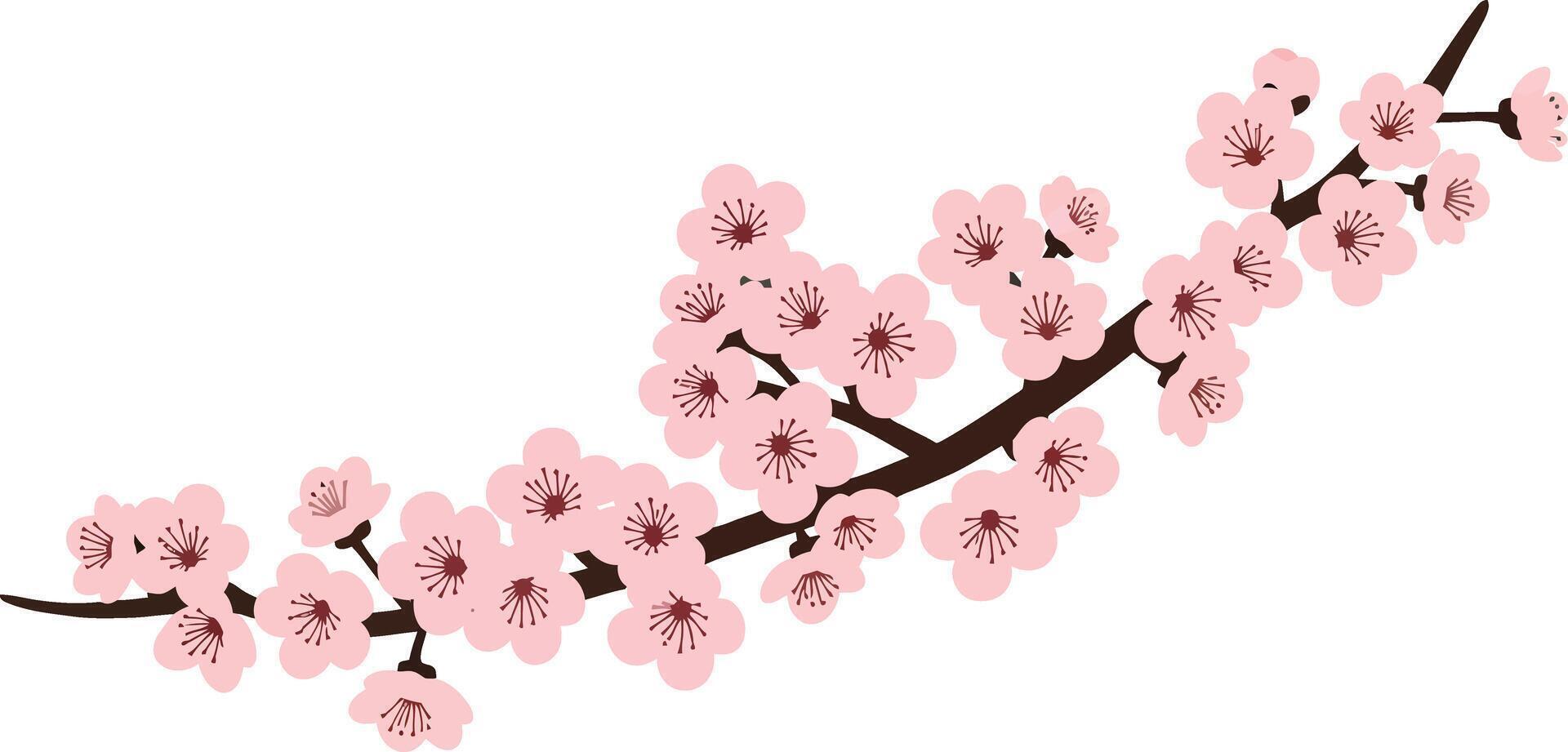 Cherry Blossom Branch with Pink Flowers Illustration for Spring Season Decoration Design vector