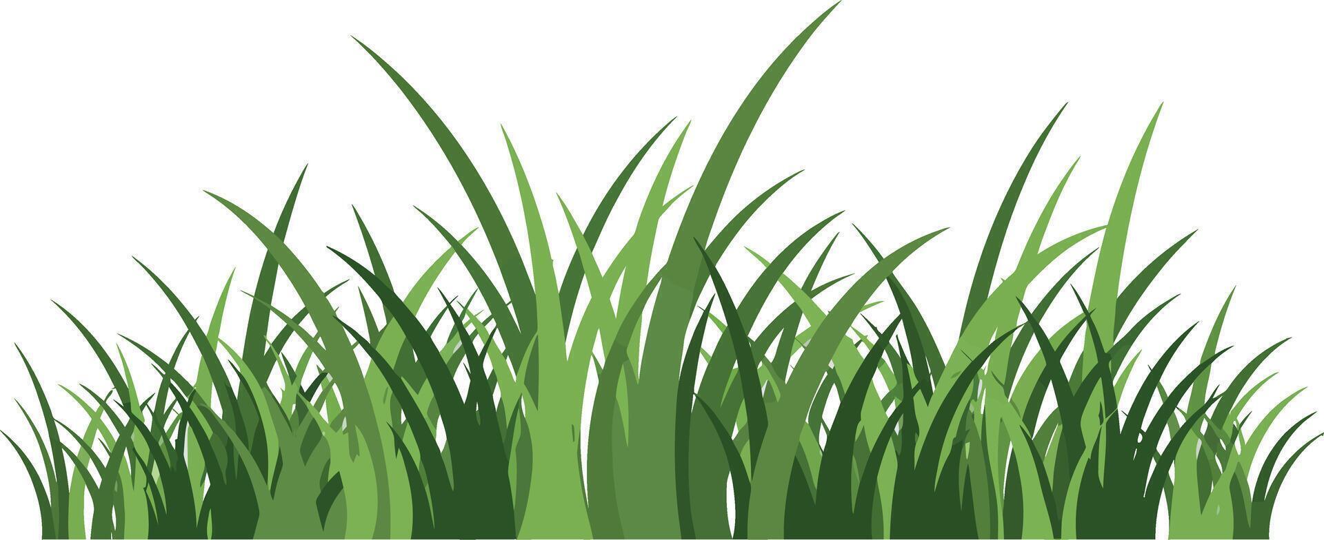 Green grass blades natural illustration isolated on white background seamless design element vector