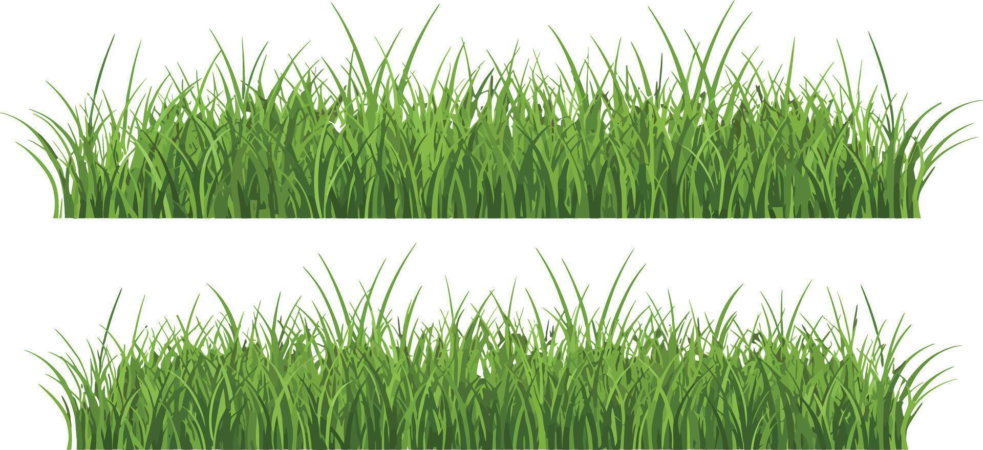 Green grass blades border illustration with natural fresh appearance horizontal layout vector