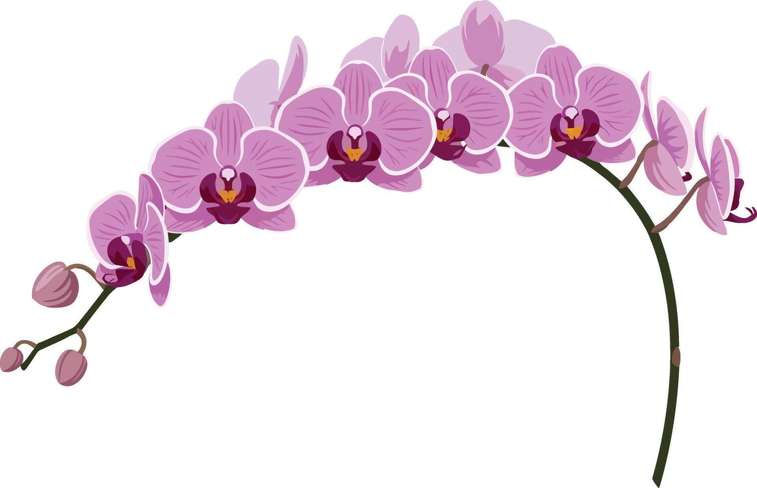 Pink orchid flower branch with green stem illustration in delicate natural design vector