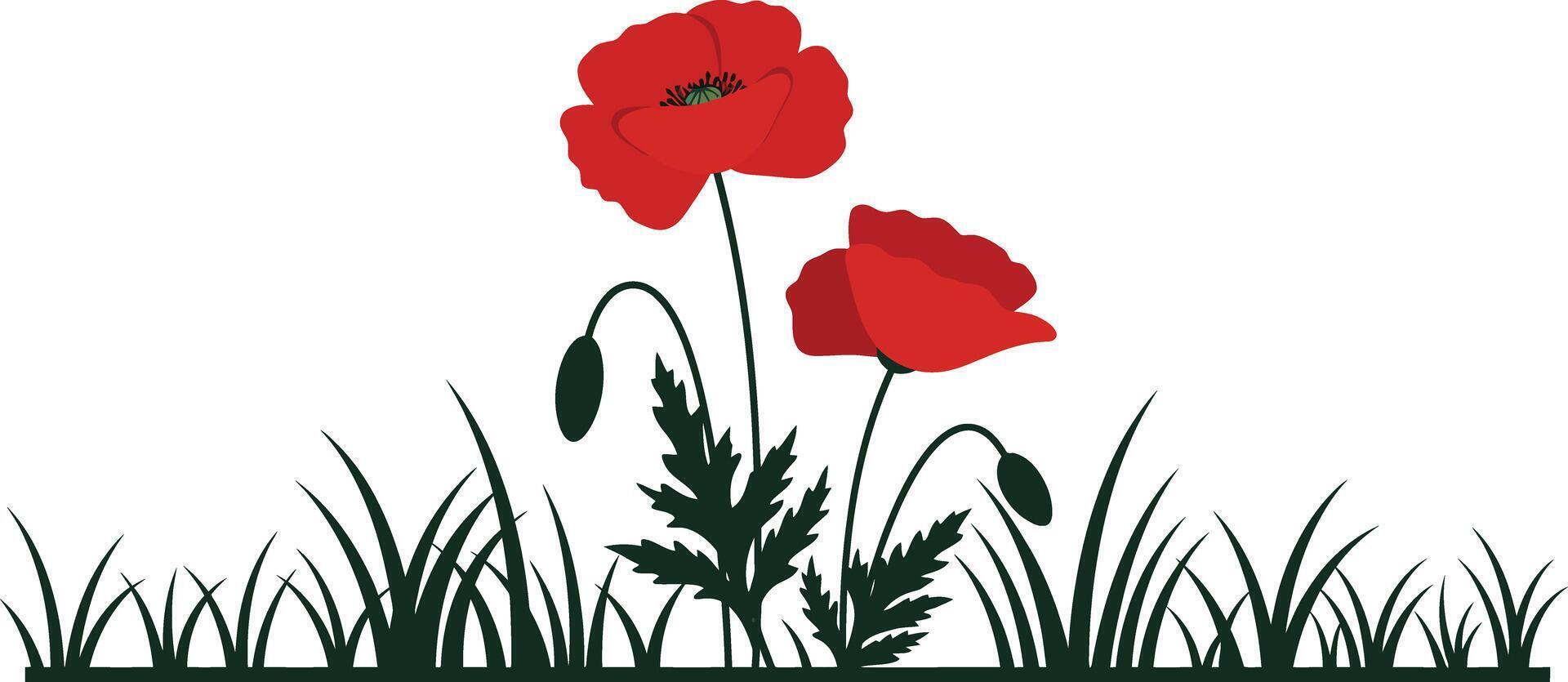 Red poppy flowers with green grass silhouette illustration in minimalist style natural design vector