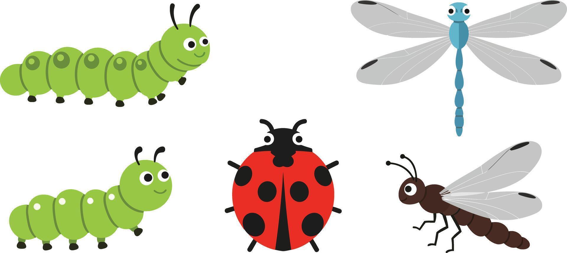 Colorful cartoon insects with green caterpillars red ladybug and blue dragonflies illustration vector