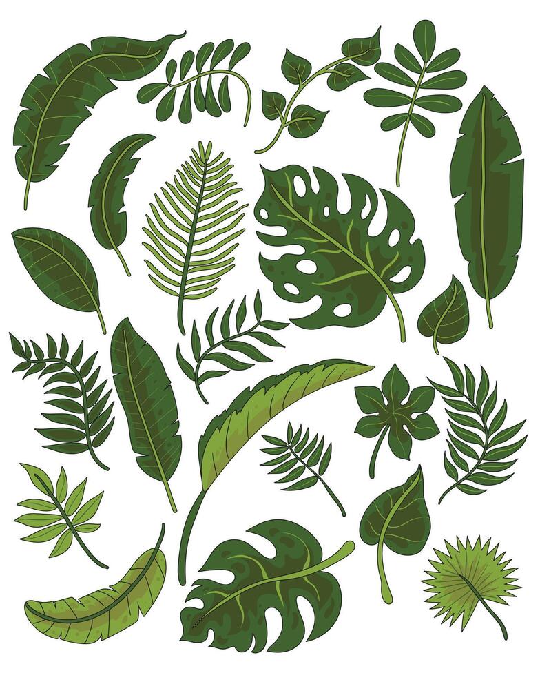 Collection of green leaves illustrations vector