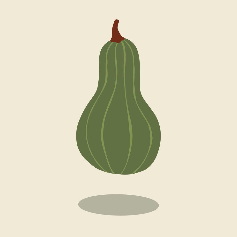 Minimalist autumn pumpkin green maxima gourd squash illustration fall theme vector