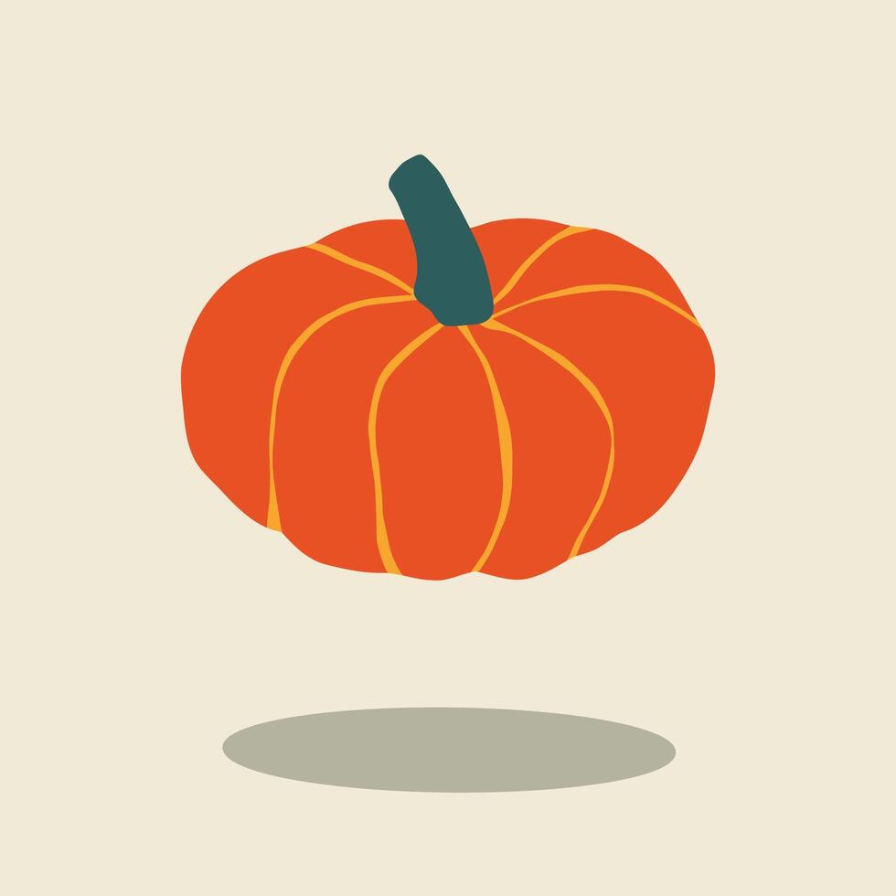 Minimalist autumn Cinderella pumpkin squash illustration fall theme vector