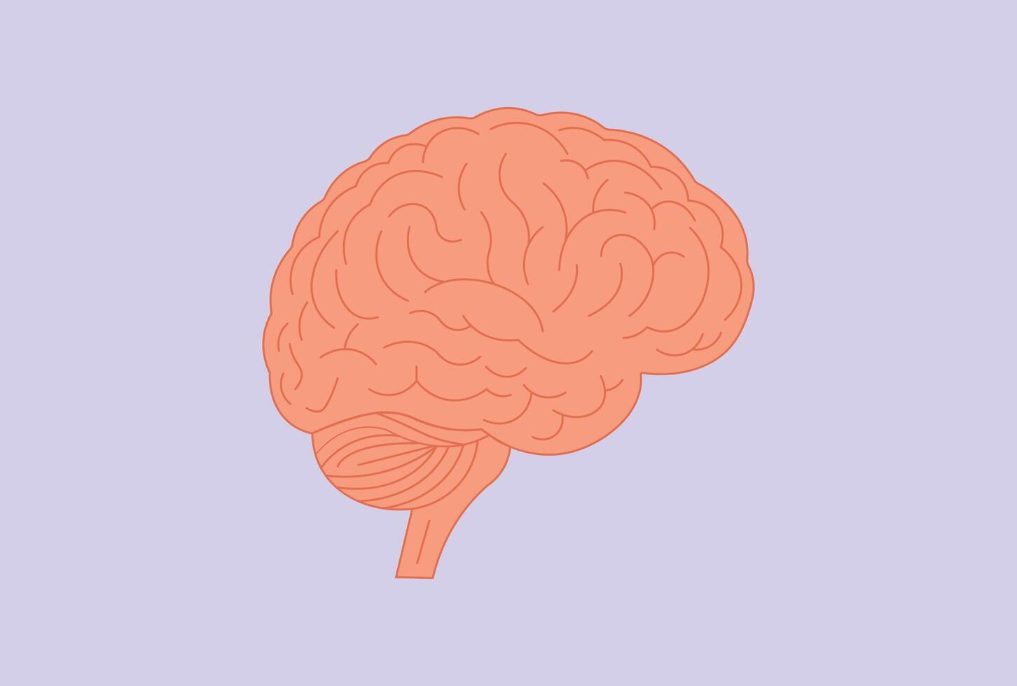 Human Brain Cognitive Function Organ illustration. vector