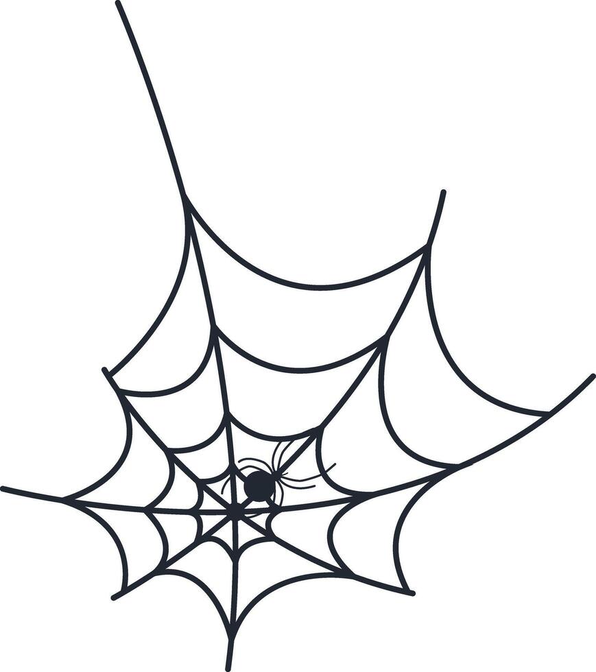 Hand Drawn Halloween Spider Web. vector