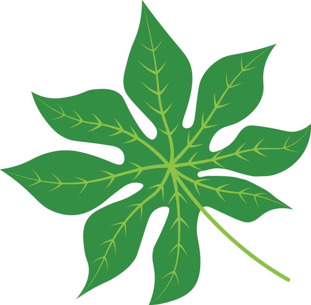 Illustration of Exotic Tropical Leaves vector