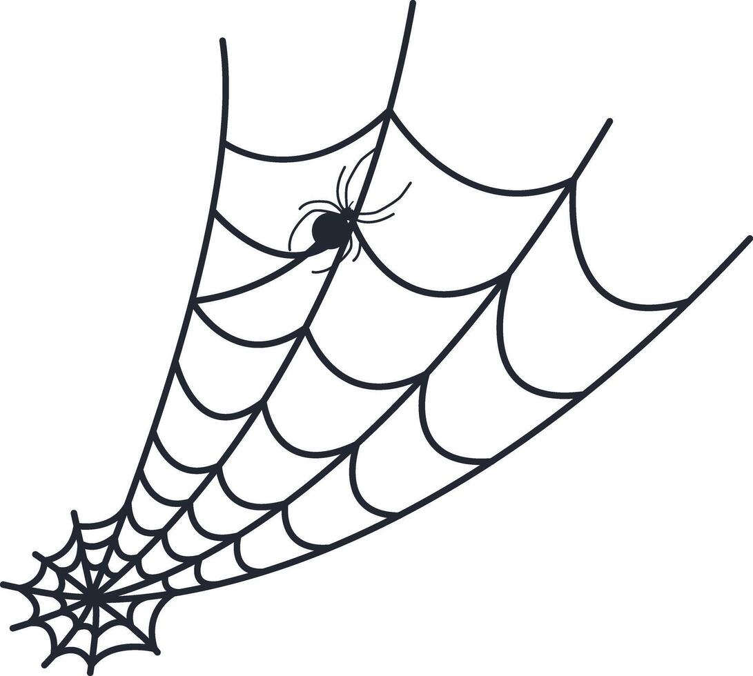 Hand Drawn Halloween Spider Web. Design Element. vector