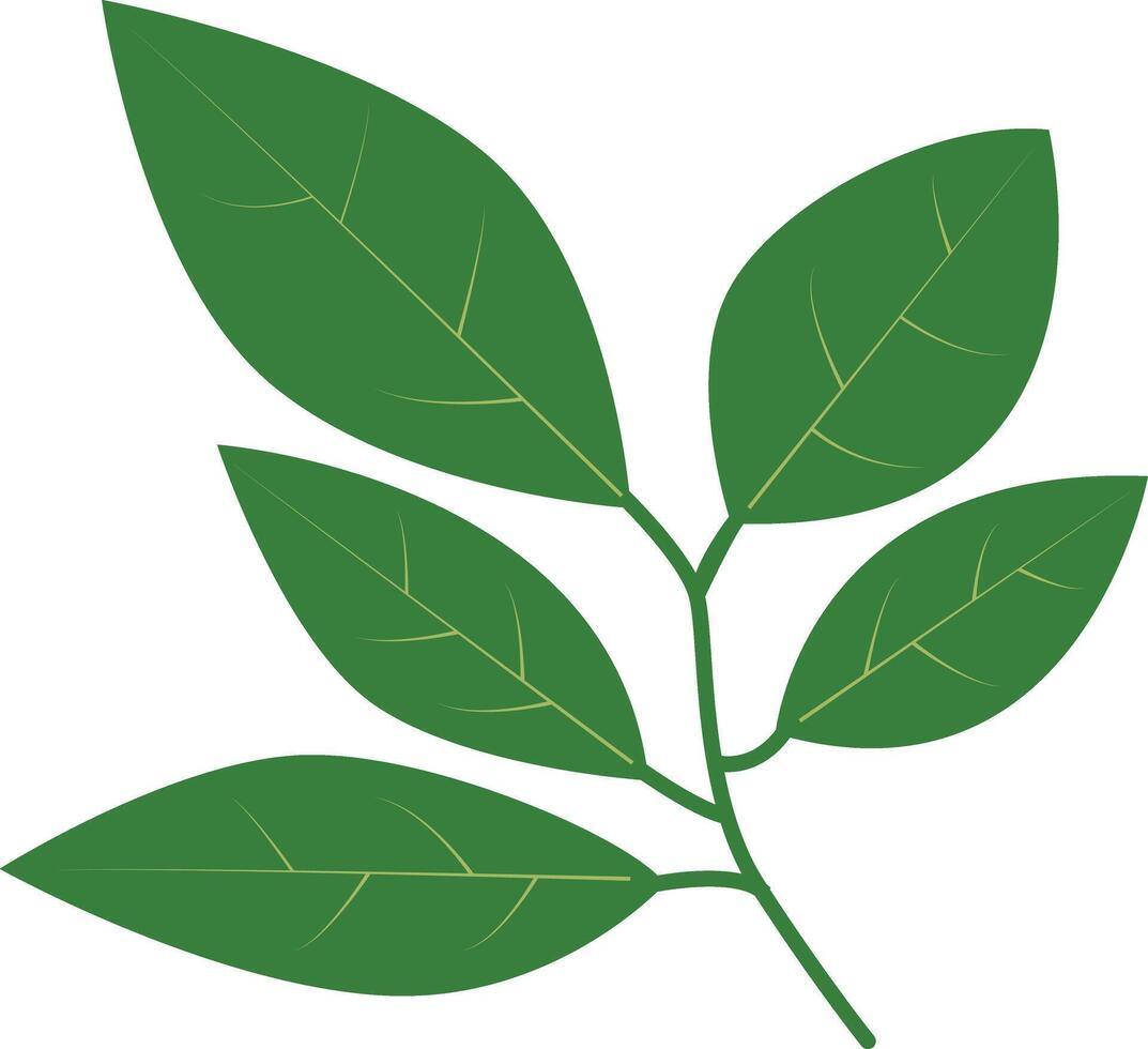 Tropical Leaves Clipart with Cartoon Design, Isolated on White Background vector