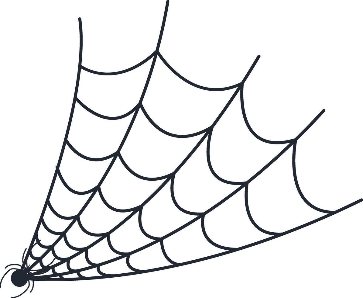 Hand Drawn Halloween Spider Web. Isolated on White Background vector