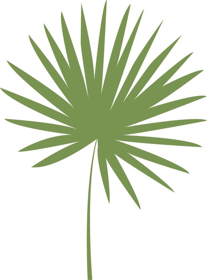 Tropical Leaves Illustration, Isolated on White Background. vector