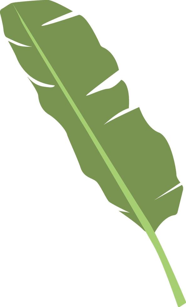 Tropical Leaves Cartoon Illustration vector