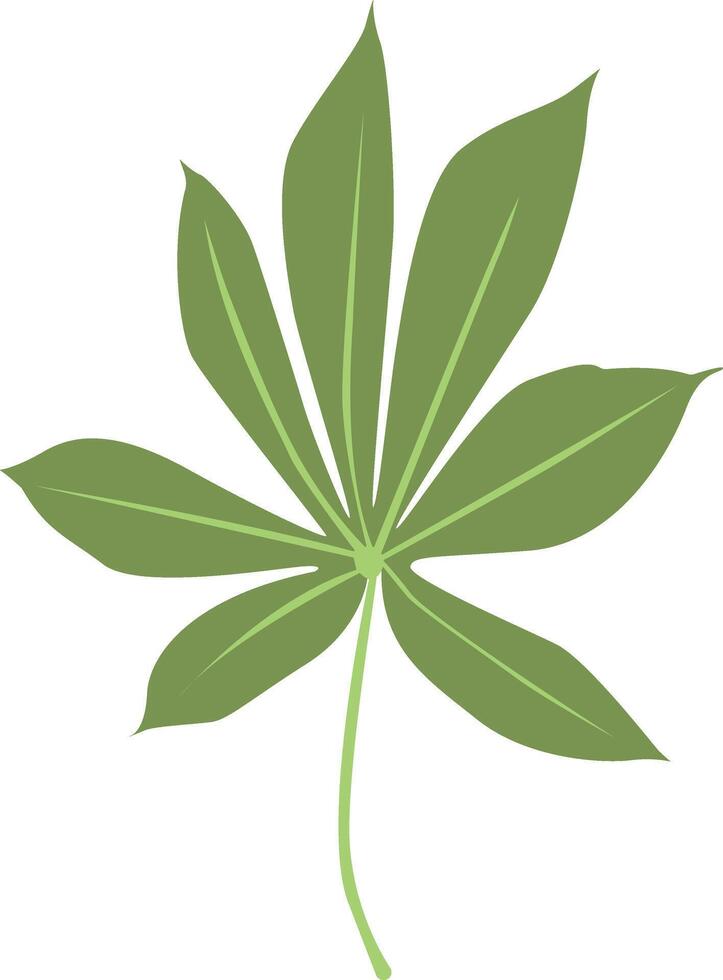 Tropical Leaves Illustration in Cartoon Design vector