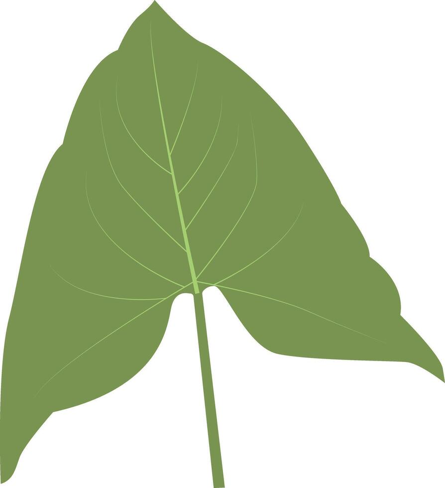 Tropical Leaves Illustration Isolated on White Background vector