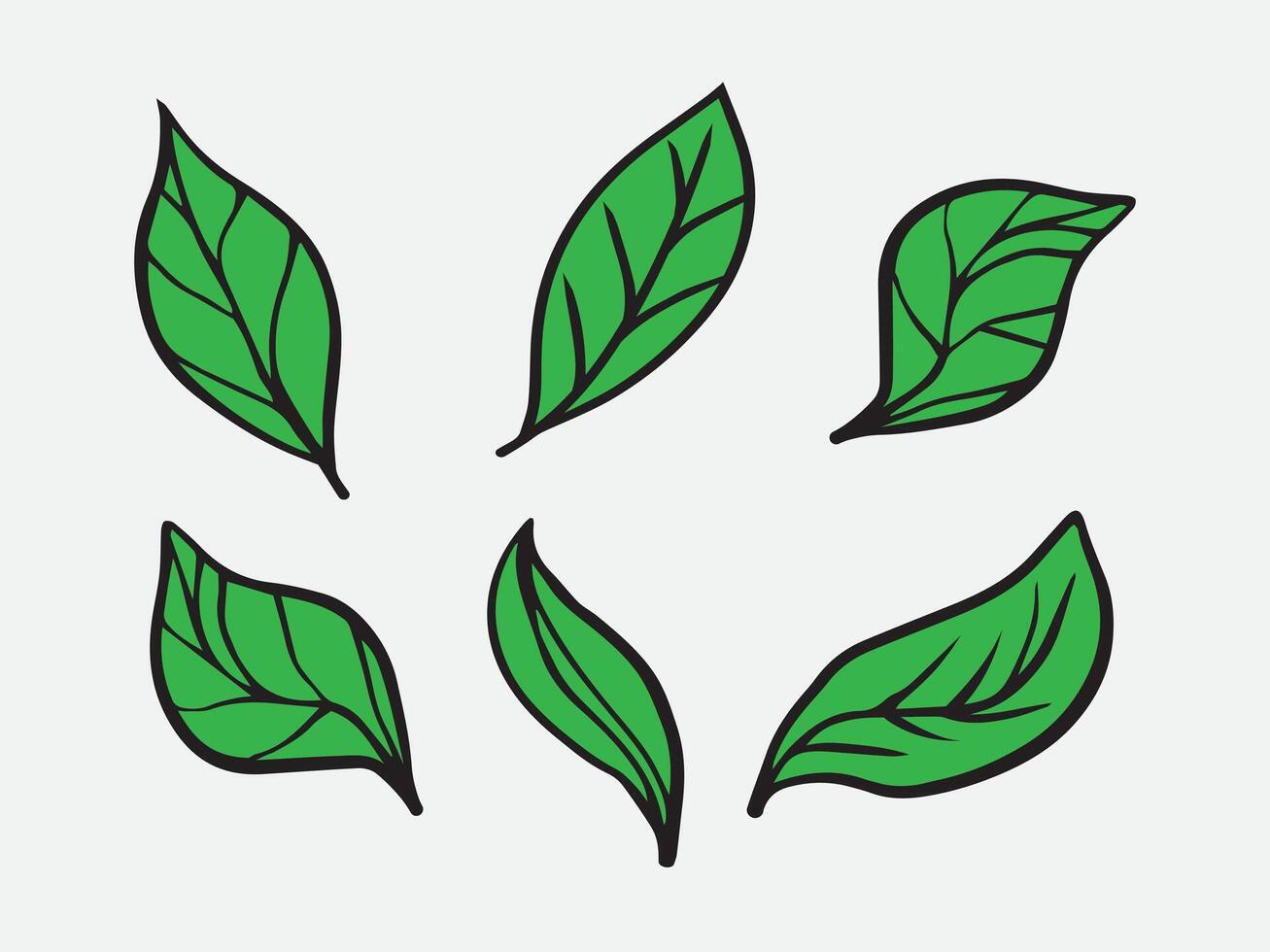 Green leaf set plant illustration vector