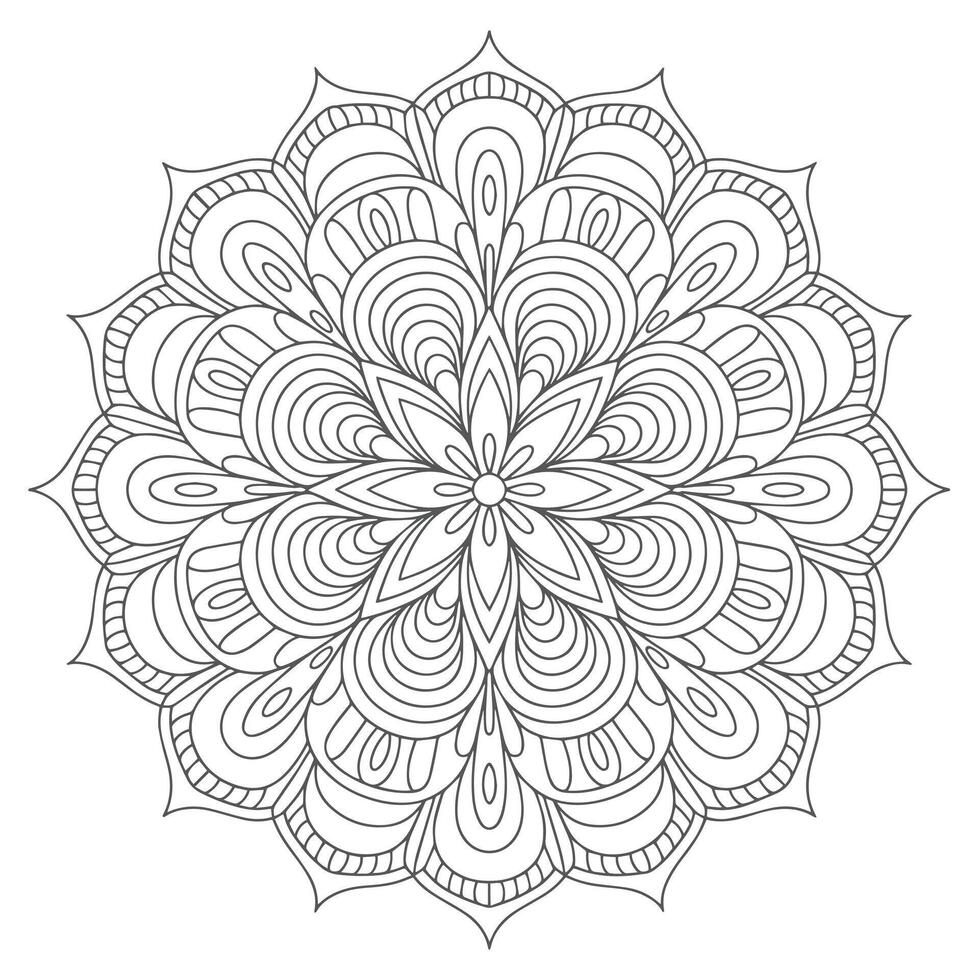 Intricate floral mandala design with repeating petal patterns symmetrical geometric vector
