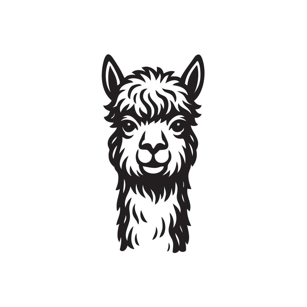 Alpaca Head Illustration vector