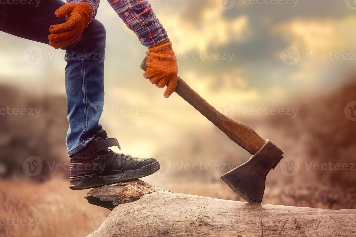 Lumberjack Wearing Orange Gloves And Plaid Shirt, Cutting Wood With Axe On A Log, Outdoors At Sunset. photo
