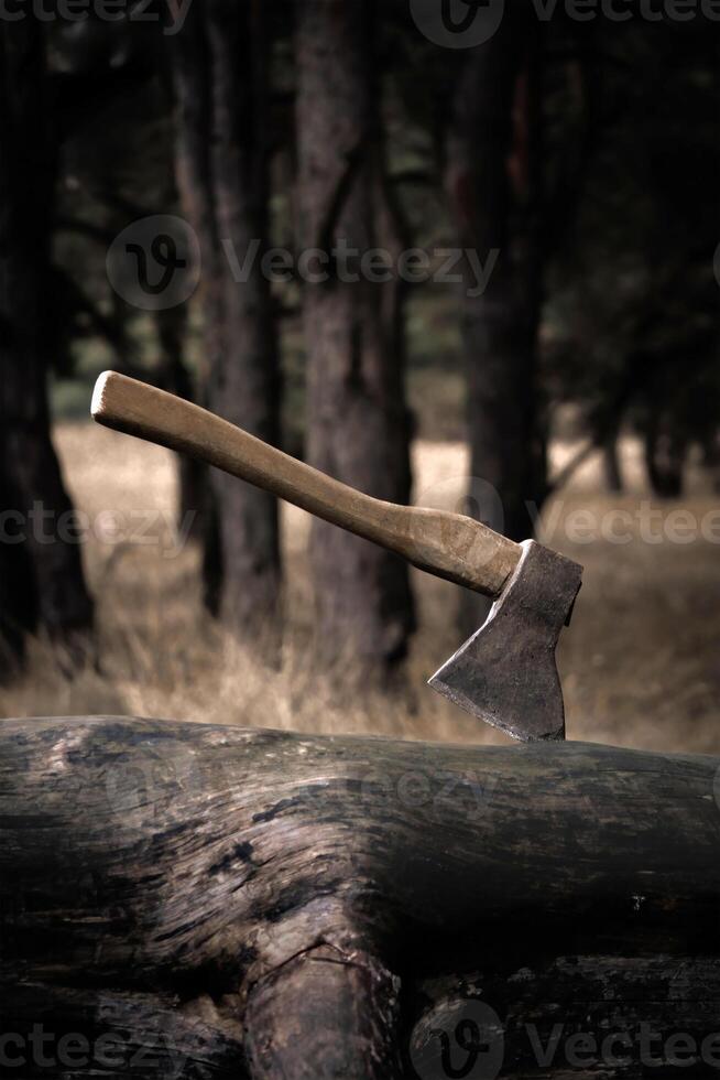 Close-Up Of Axe Stuck In Wooden Log In Autumn Forest At Dusk. photo