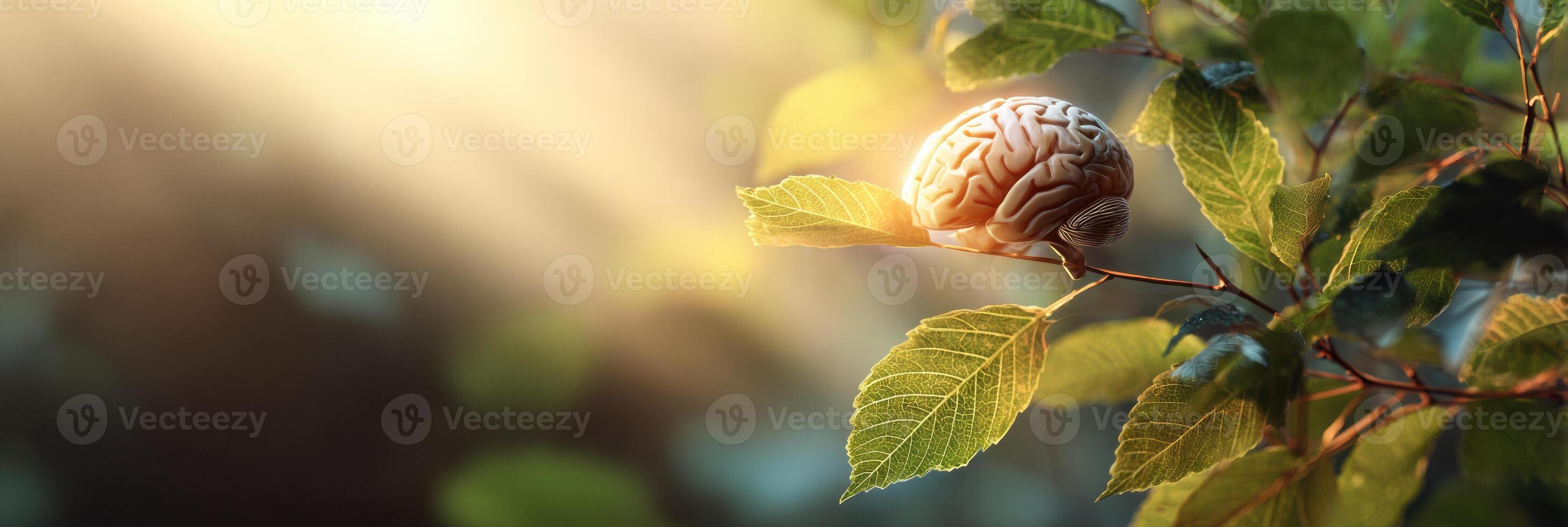 Glowing Brain Amidst Gentle Leaves and Sunrays Promoting Mental Wellness and Awareness for Mental Health Month photo