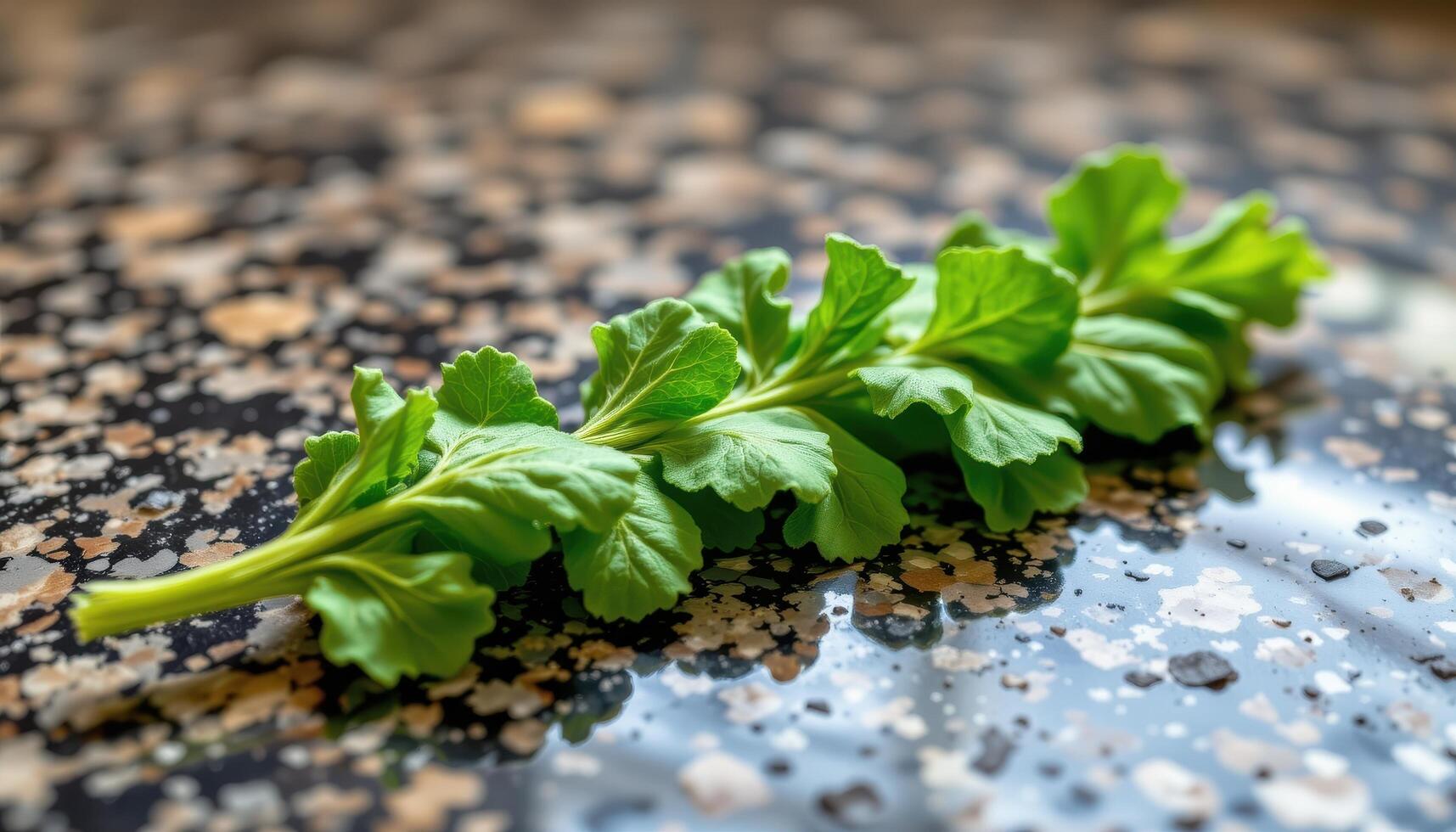 close up view of bright green curry leaves resting in a row on a polished granite surface. photo