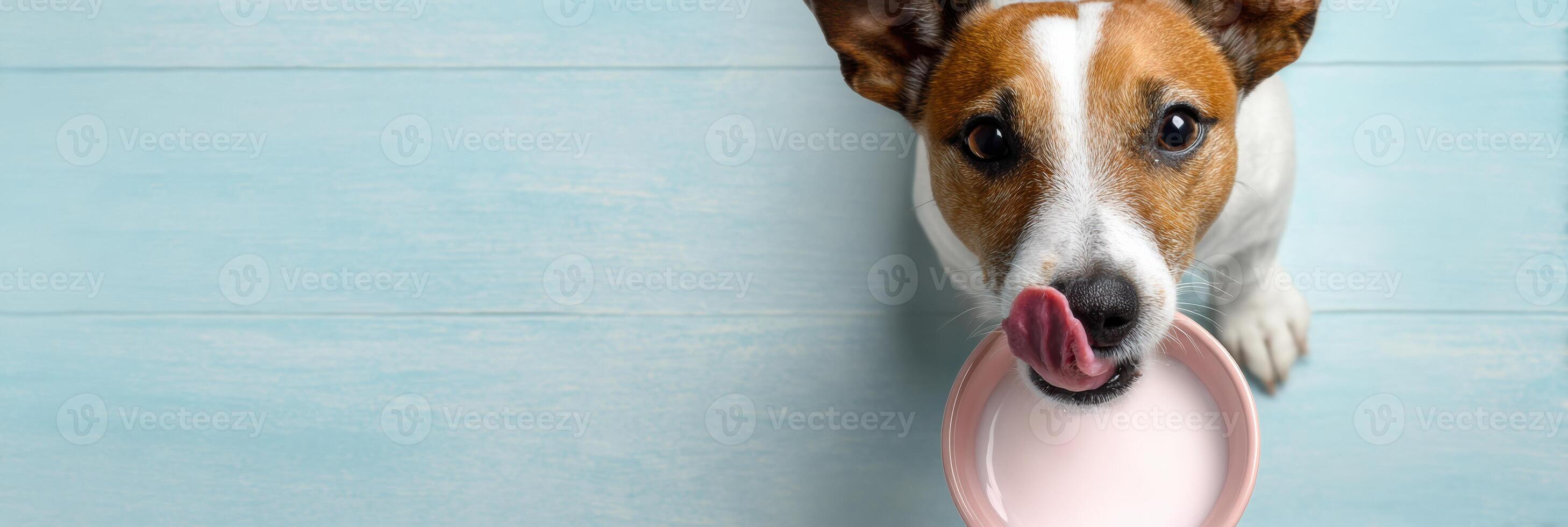 Dog Enjoys Yogurt From Bowl on Clean Pastel Floor With Open Space Above in a Bright and Cheerful Kitchen Setting photo