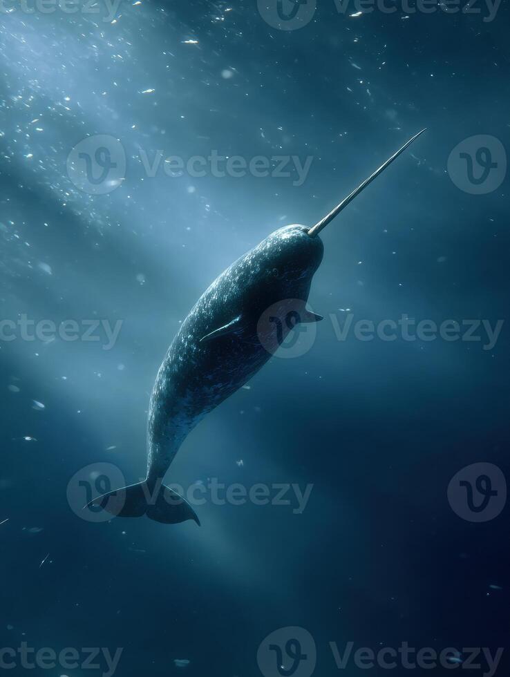 Narwhal Swimming Gracefully Underwater With Tusk Extended in a Serene Ocean Environment photo