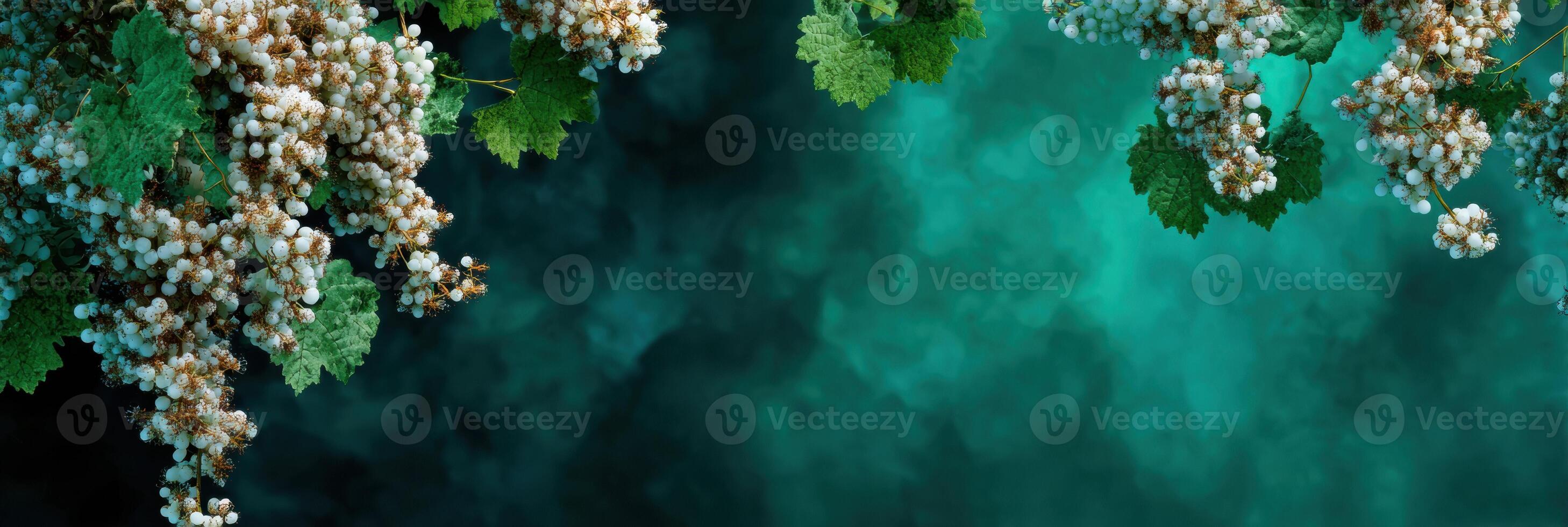 Floating Grapevine Creates a Luxury Organic Atmosphere With a Deep Green Blur Background Highlighting Natures Beauty and Elegance in the Scene photo