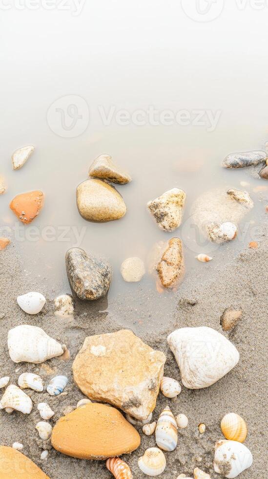 Natural Shoreline Serenity A Close-Up of Smooth Pebbles, Diverse Shells, and Gentle Water on a Tranquil Sandy Beach. photo