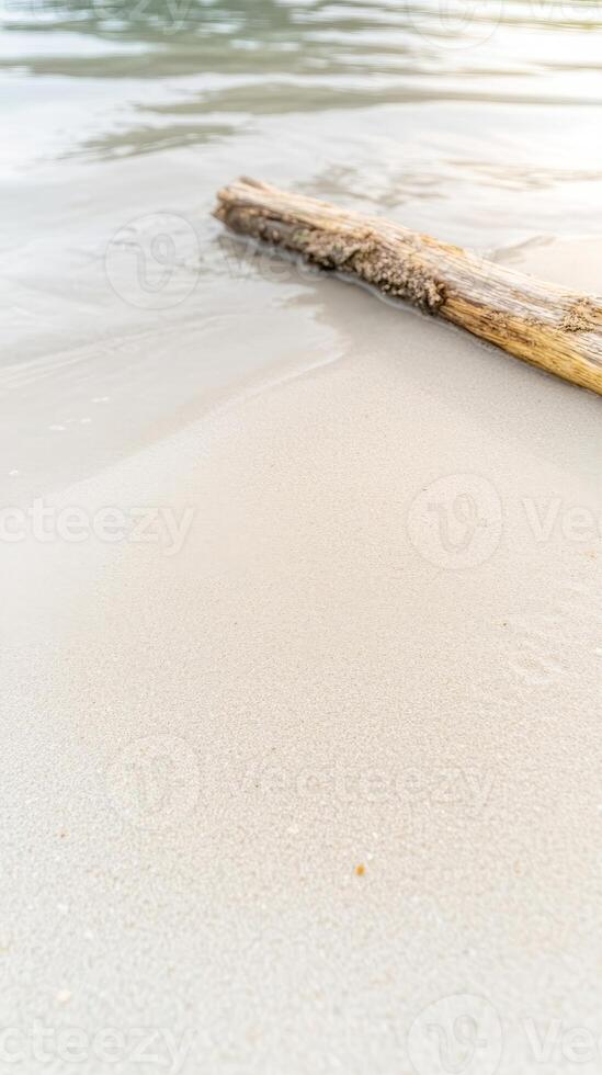 Sun-kissed tranquil beach with smooth sand and weathered driftwood, capturing the serene beauty of a peaceful coastal landscape, perfect for relaxation and escape. photo