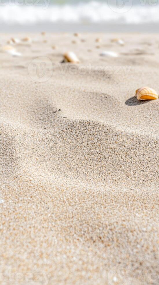 Golden Sands and Whispering Waves A Close-Up View of Serene Beach with Scattered Seashells, Capturing the Essence of Coastal Tranquility photo