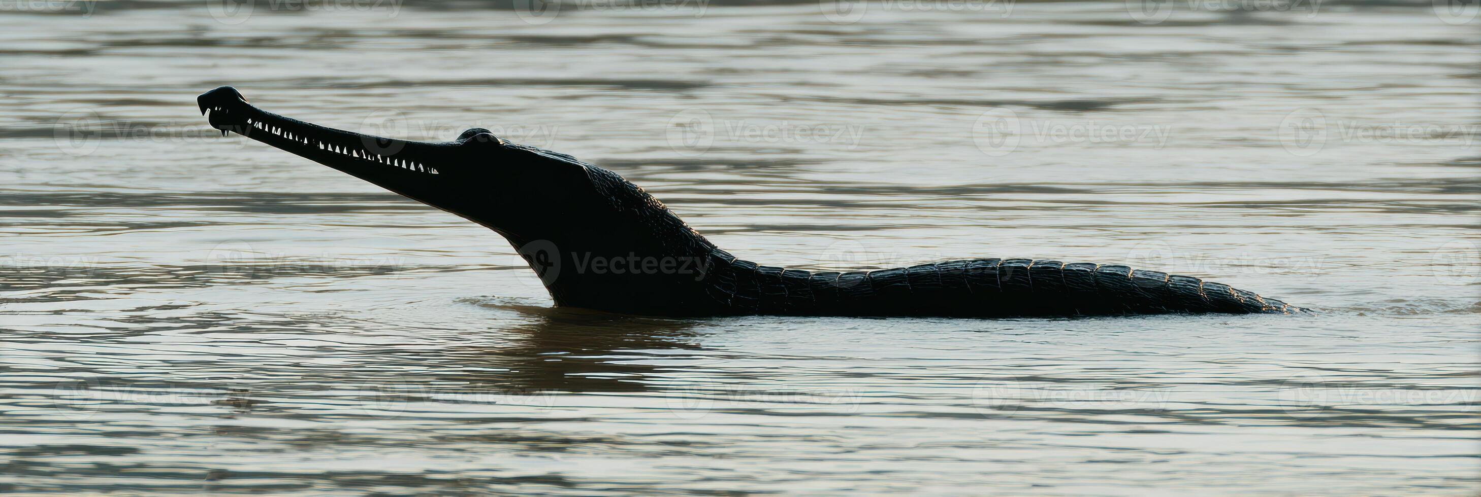 Gharial Rising From River Waters, Showcasing Sharp Snout Silhouette Against a Calm Backdrop During Dawn photo