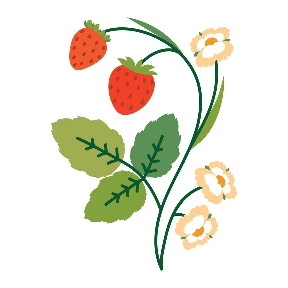 Lovely Strawberry Bush with Flowers, Leaves and Berries. Colorful plant with cute line sketches of branches isolated on white background. Nature herb perfect for invitations, cards, posters, holidays vector